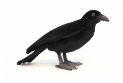 Мягкая игрушка Черный ворон, 31 см