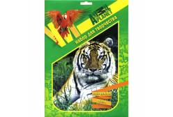 Набор для творчества Animal Planet. Тигр