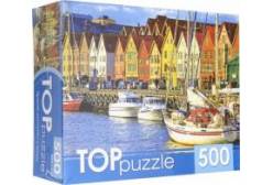 TOPpuzzle-500 КБТП500-6806 Яркие домики у воды